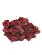 Muschio Lichene Rosso Stabilizzato